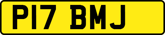 P17BMJ