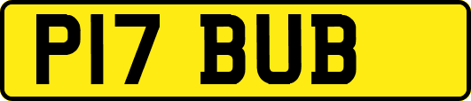 P17BUB