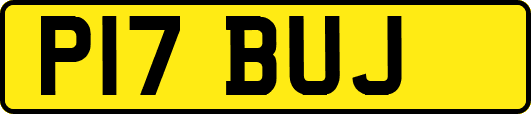P17BUJ