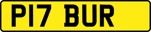 P17BUR