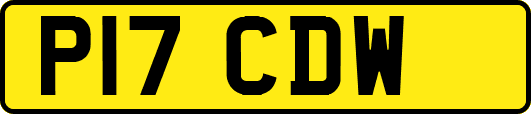 P17CDW