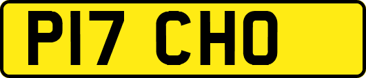 P17CHO
