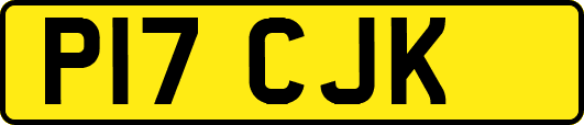 P17CJK
