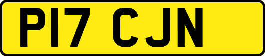 P17CJN