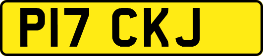 P17CKJ