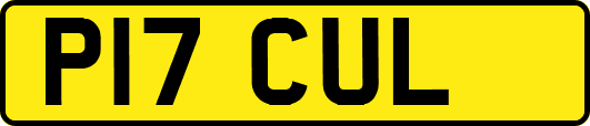 P17CUL