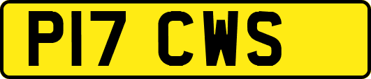 P17CWS