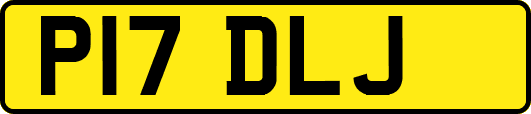 P17DLJ
