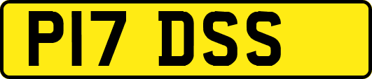 P17DSS