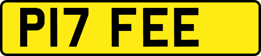 P17FEE
