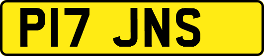 P17JNS