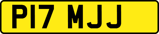 P17MJJ
