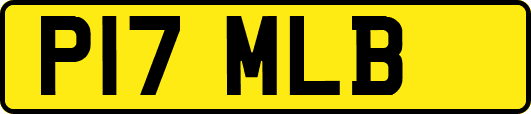 P17MLB