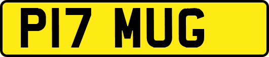 P17MUG