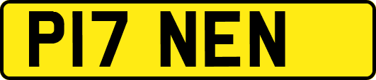 P17NEN