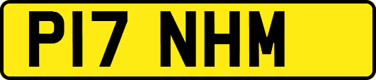 P17NHM