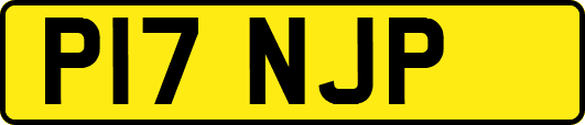 P17NJP