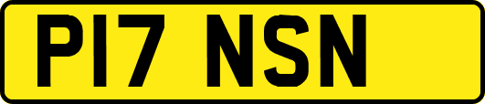 P17NSN