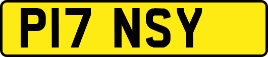 P17NSY