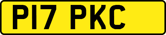 P17PKC