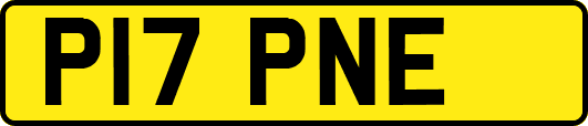 P17PNE