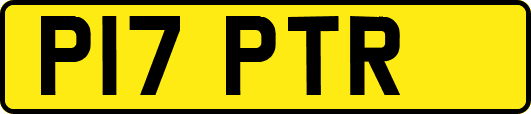 P17PTR