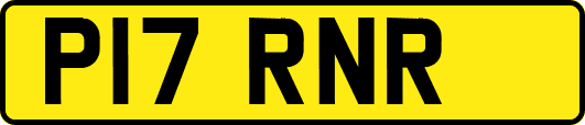 P17RNR