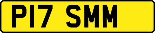 P17SMM