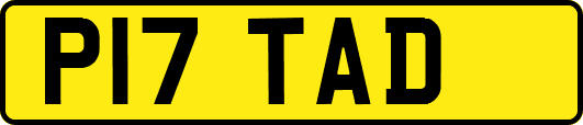 P17TAD