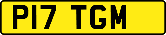 P17TGM