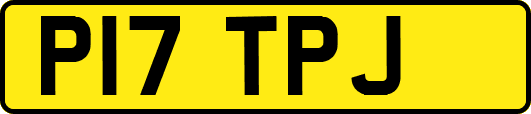 P17TPJ