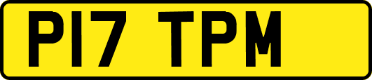 P17TPM