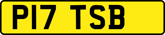 P17TSB