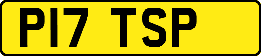 P17TSP