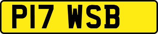 P17WSB