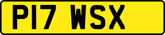 P17WSX