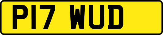 P17WUD