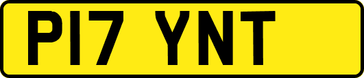 P17YNT