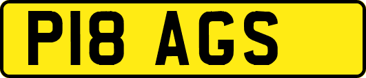 P18AGS