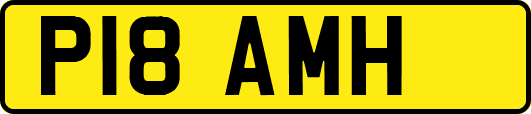 P18AMH