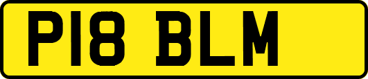 P18BLM