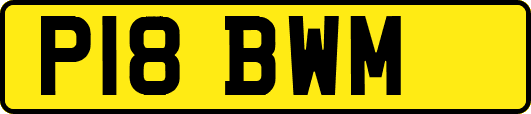 P18BWM