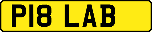 P18LAB
