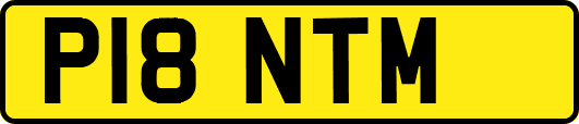 P18NTM
