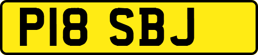 P18SBJ