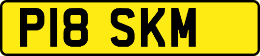 P18SKM