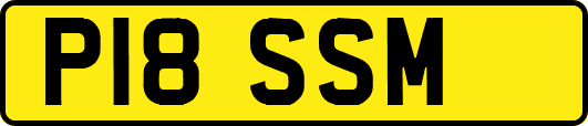 P18SSM