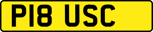 P18USC
