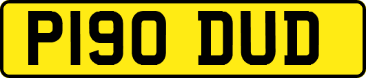 P190DUD