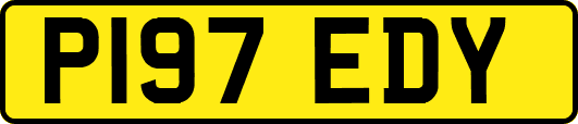 P197EDY